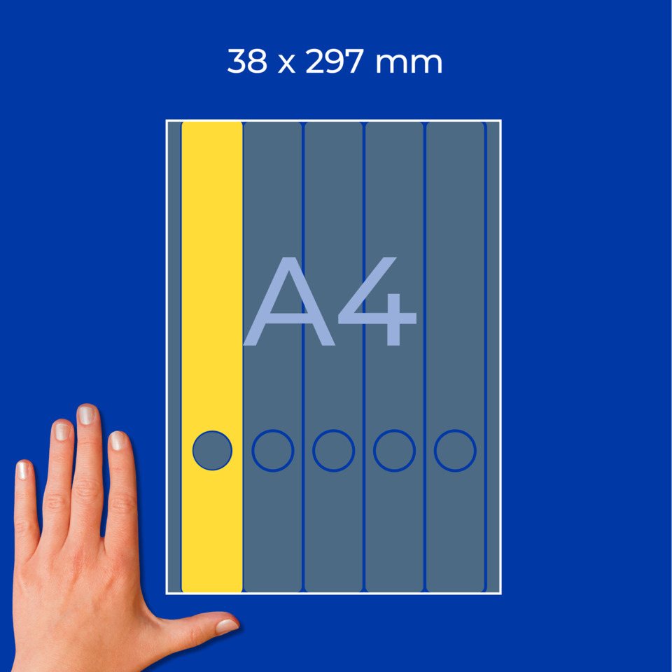 A4, Ordner, Bänder, unbeschriftet, FarbeGelb