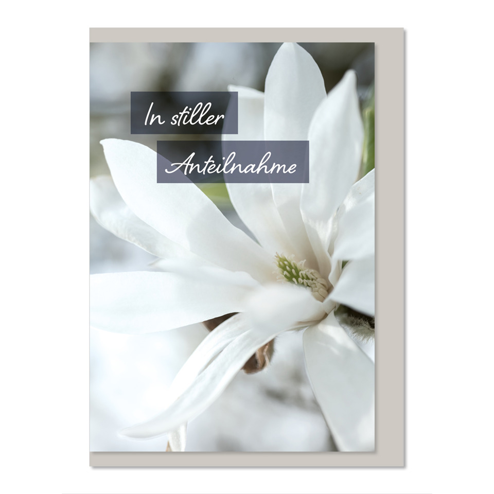 Blume, Blütenblatt, Pflanze, Eine andere