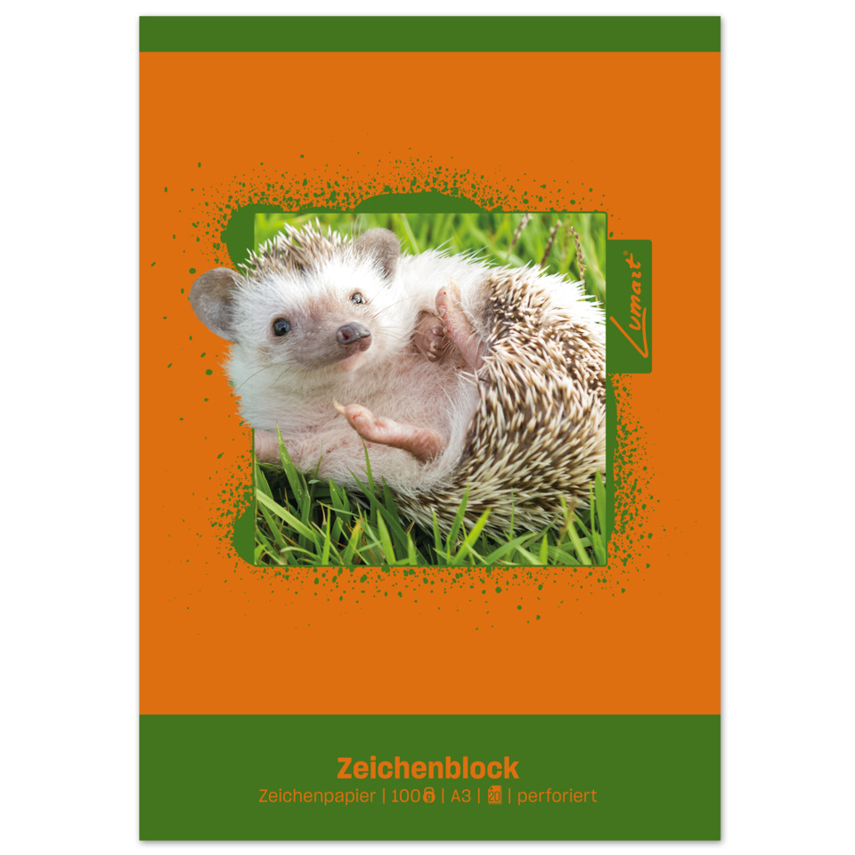 Igel, Haustier, Grün, Orange, Karte