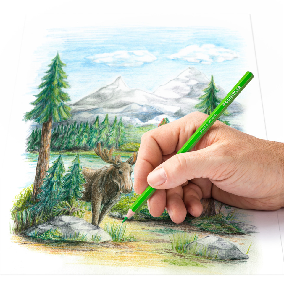 Berglandschaft, Moose, Naturzeichnung, Kunstzeichnung, Bäume