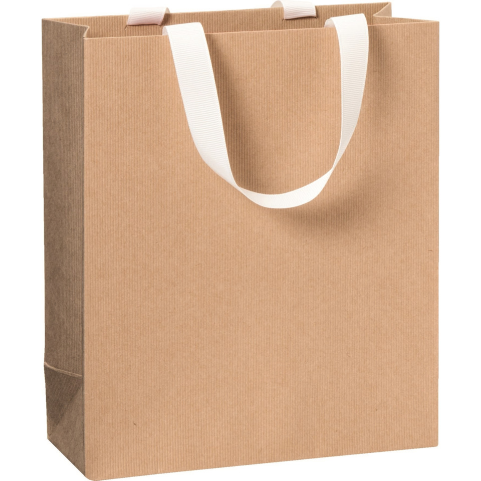 Geschenktragetasche One Colour, 21x18x8cm, hellbraun STEWO 2543644896