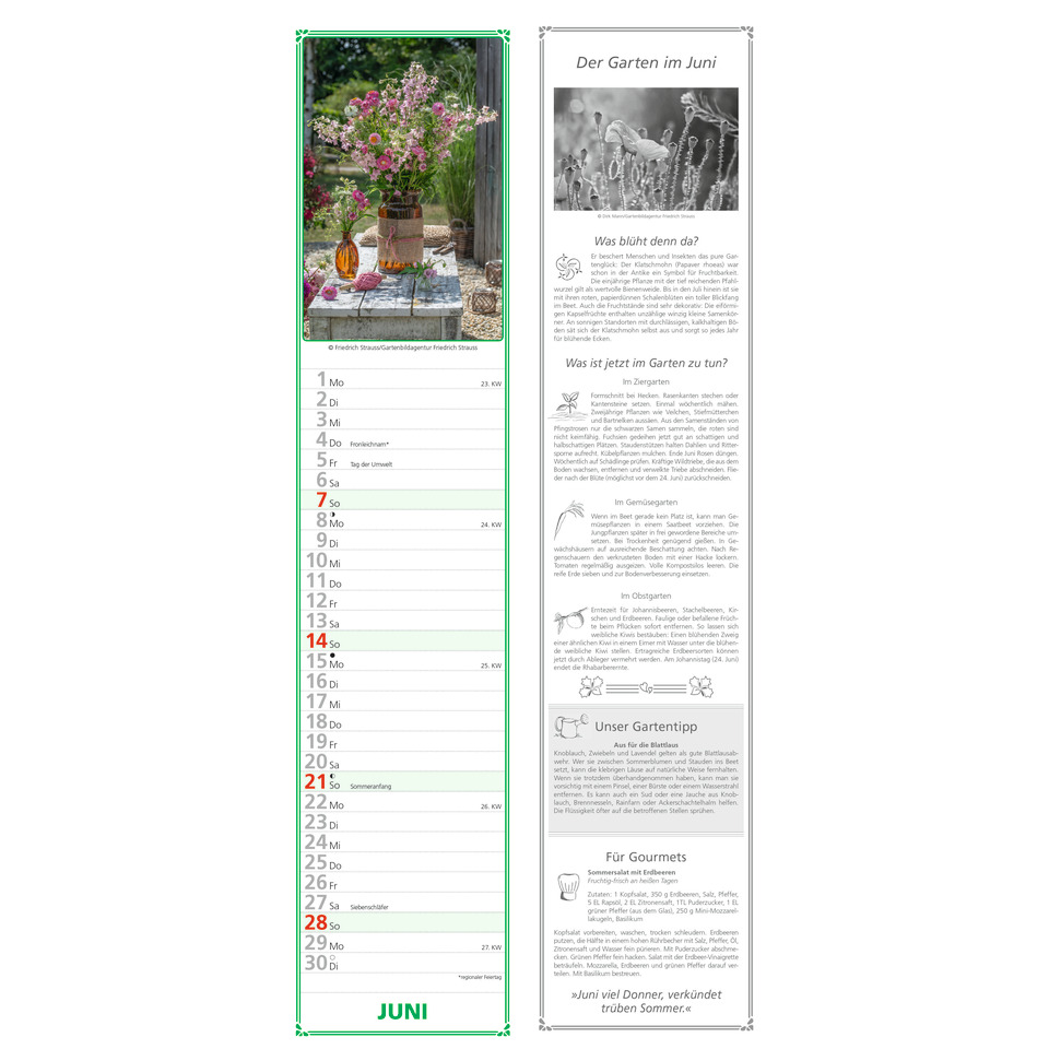 blumen, sträuße, vasen, glasgefäß, garten