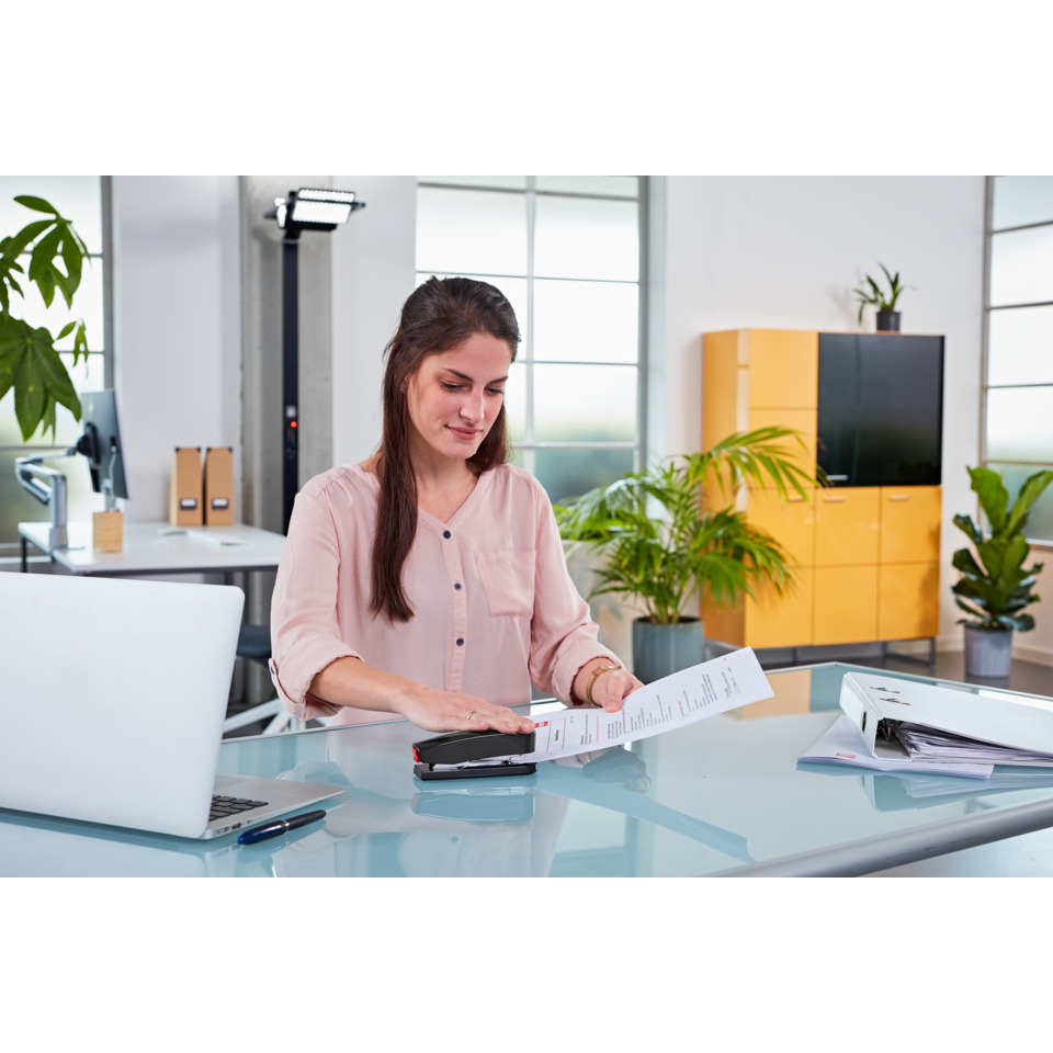 Büro, Arbeitsplatz, Dokumente, Laptop, Pflanzen