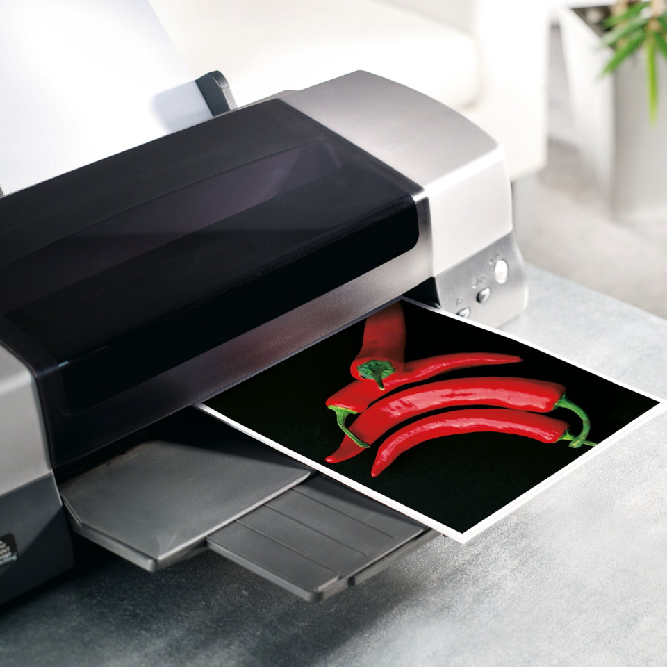 Chili, Paprika, Foto, Druck, Kurier