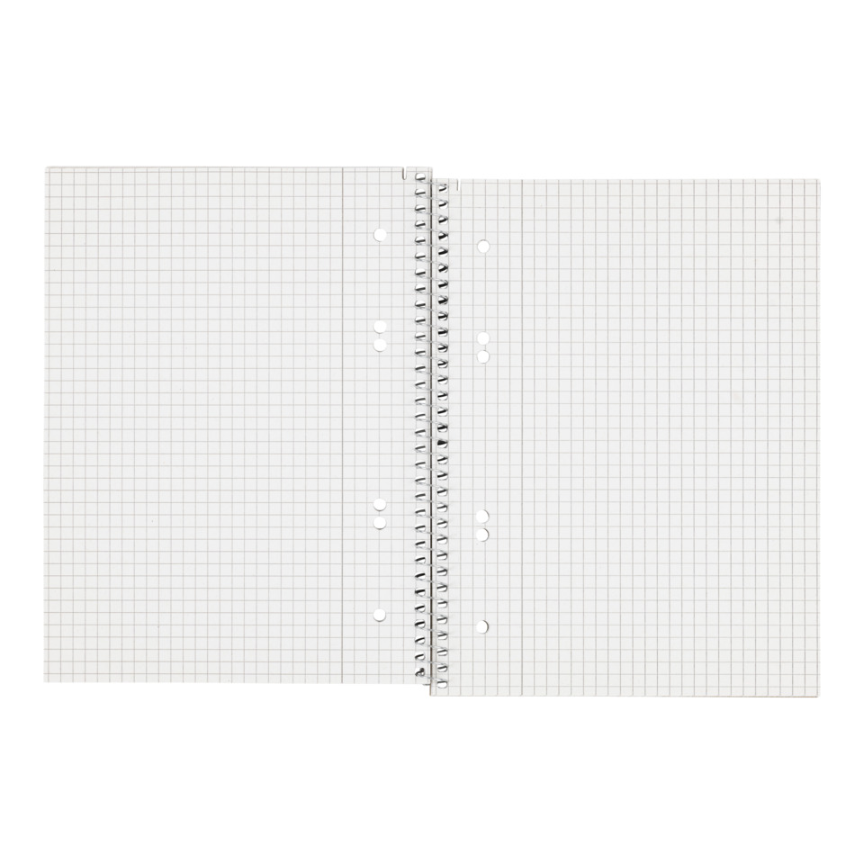 notebook, ring binder, Gitterpapier, Lochung, Wirbelrücken, Notizbuch, Spiralbindung, Gitterpapier, Kladde, Doppelseite