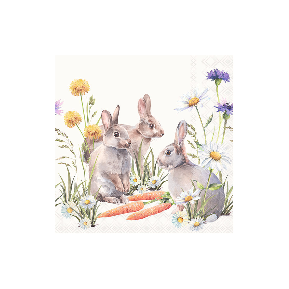 Hasen, Karotten, Wiese, Blumen, Illustration