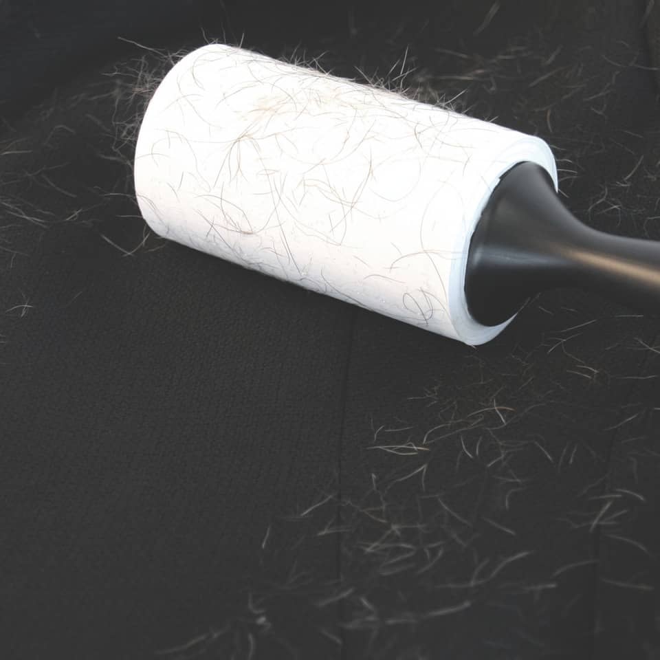 lint Roller, lint roller, hair, fuzz, dust