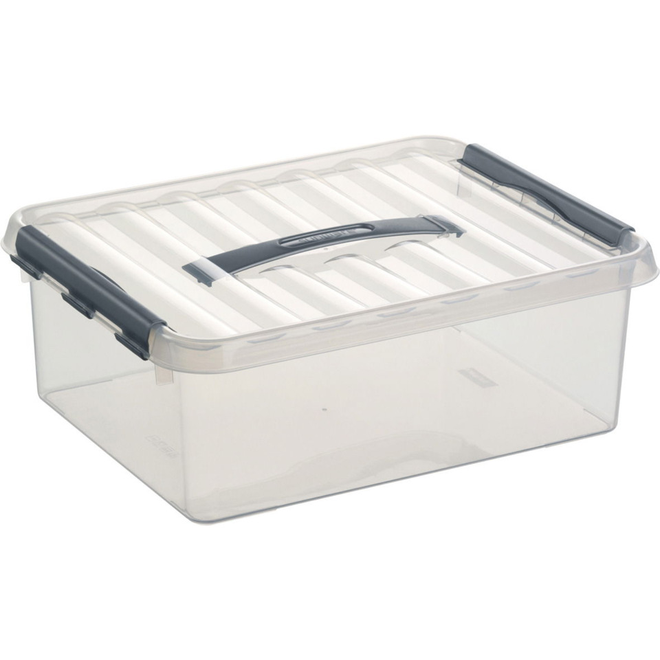 Aufbewahrungsbox, Kunststoffbehälter, Transparente Box, Deckel mit Griff, Lagerbox