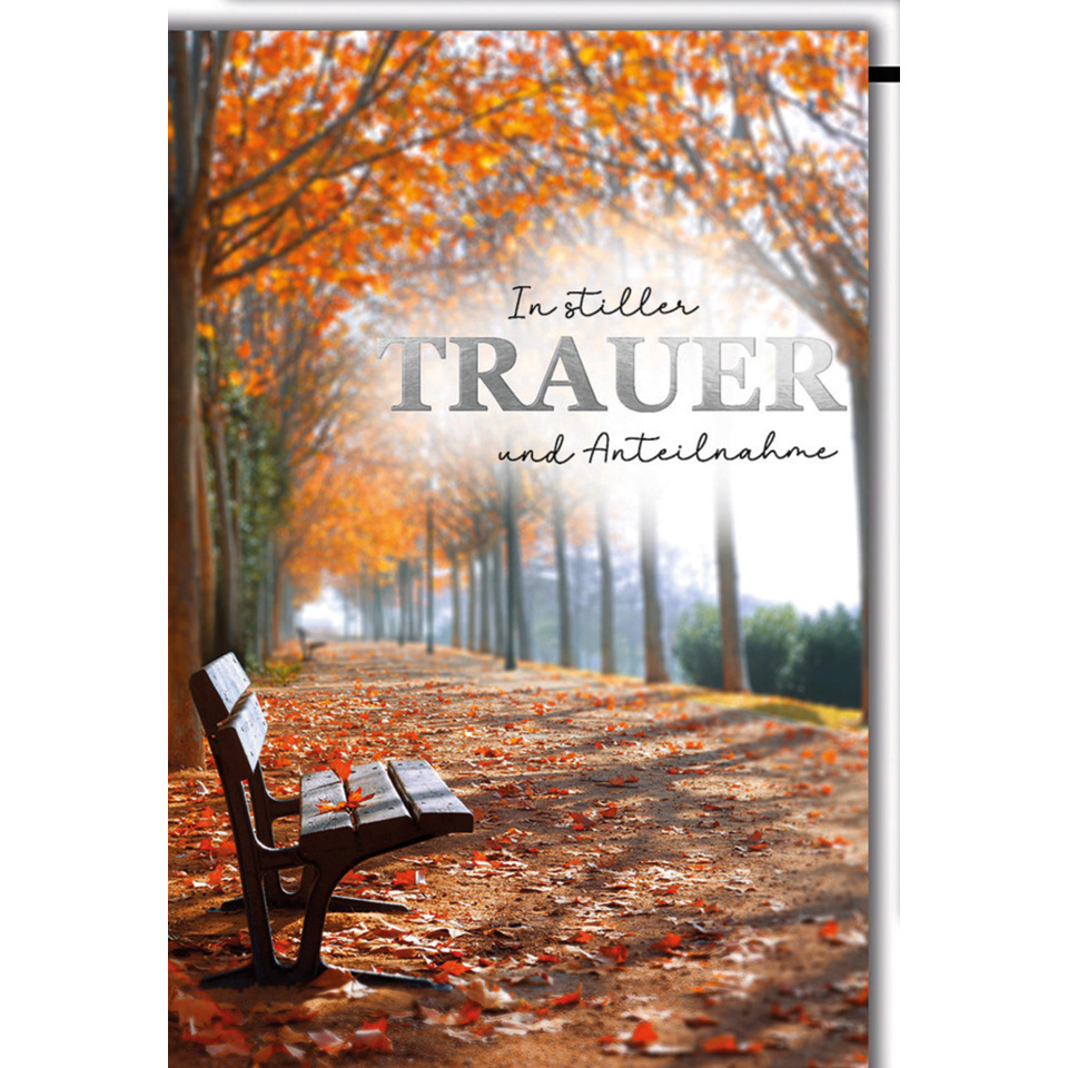 waldweg, herbst, bank, blattfall, park