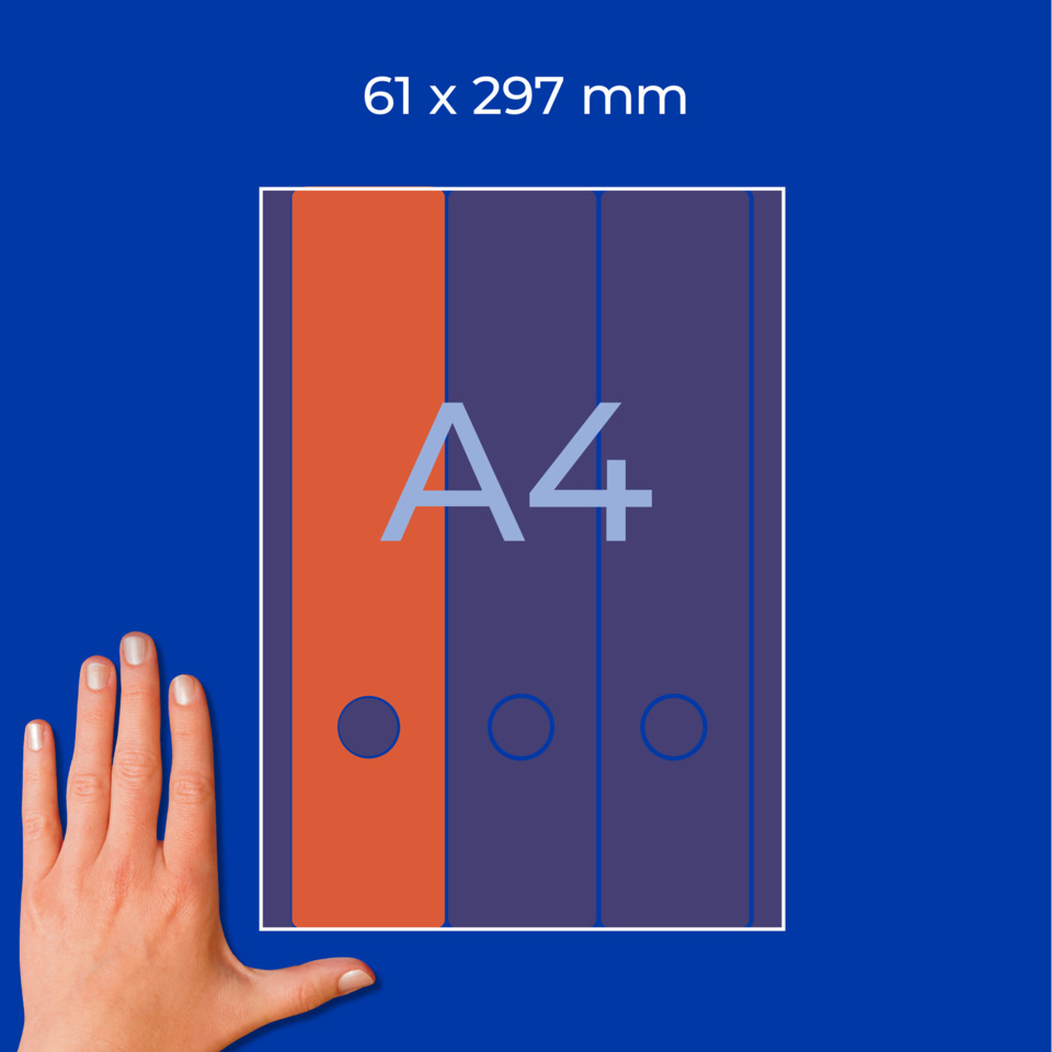 A4 binder, Ringordner, Papelordner, Bunte Ordner, Klemmbuchrücken