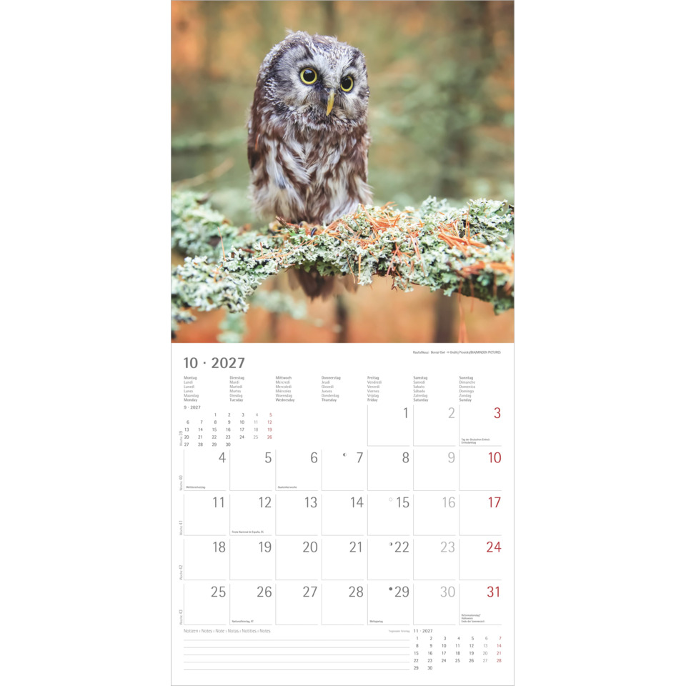 Eulenkalender, Waldvogel, Eule, Jahreskalender, Monatliches Kalenderblatt