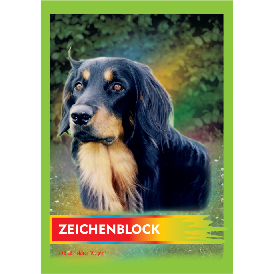 hund, auge, fell, grün, blende