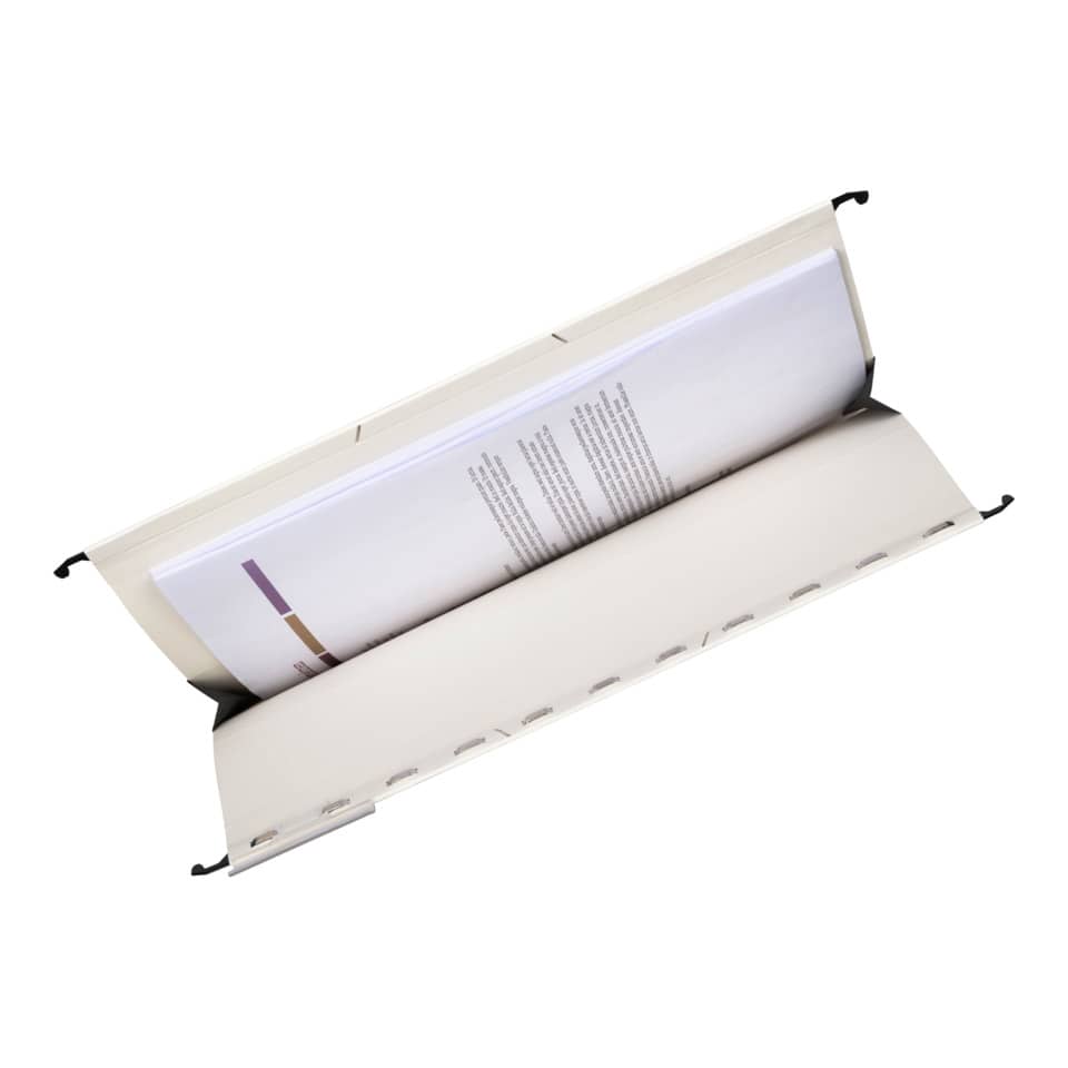 Buch, Veröffentlichung