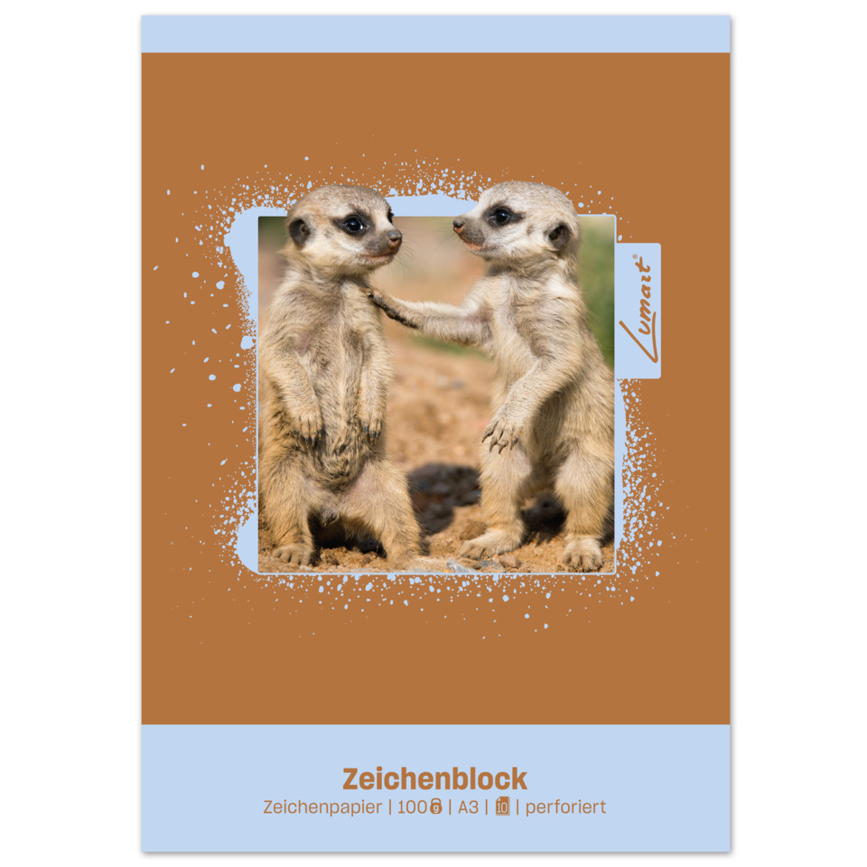 Meerkatzen, Tierisches, Tierbild, Schnauzenkontakt, Meerkatze-Paar
