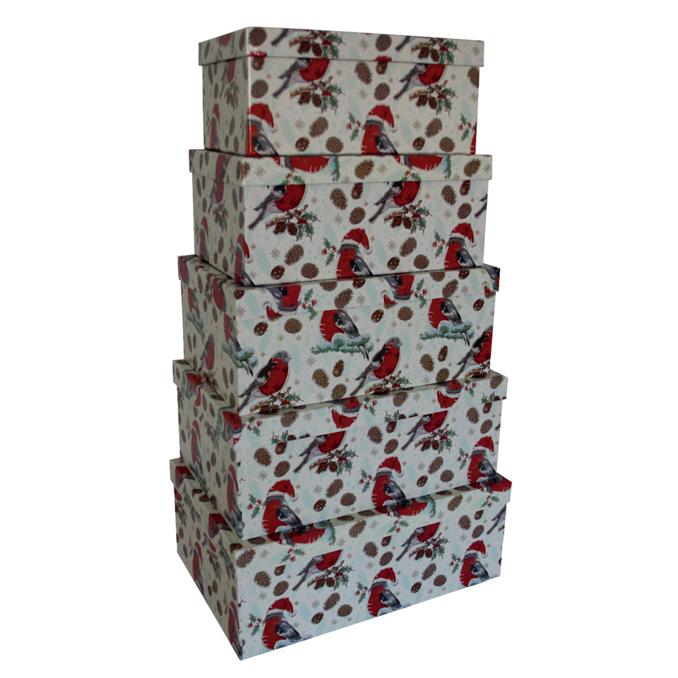 Box, Geschenkverpackung, Gemustert, Roter Kardinal, Winterdekoration