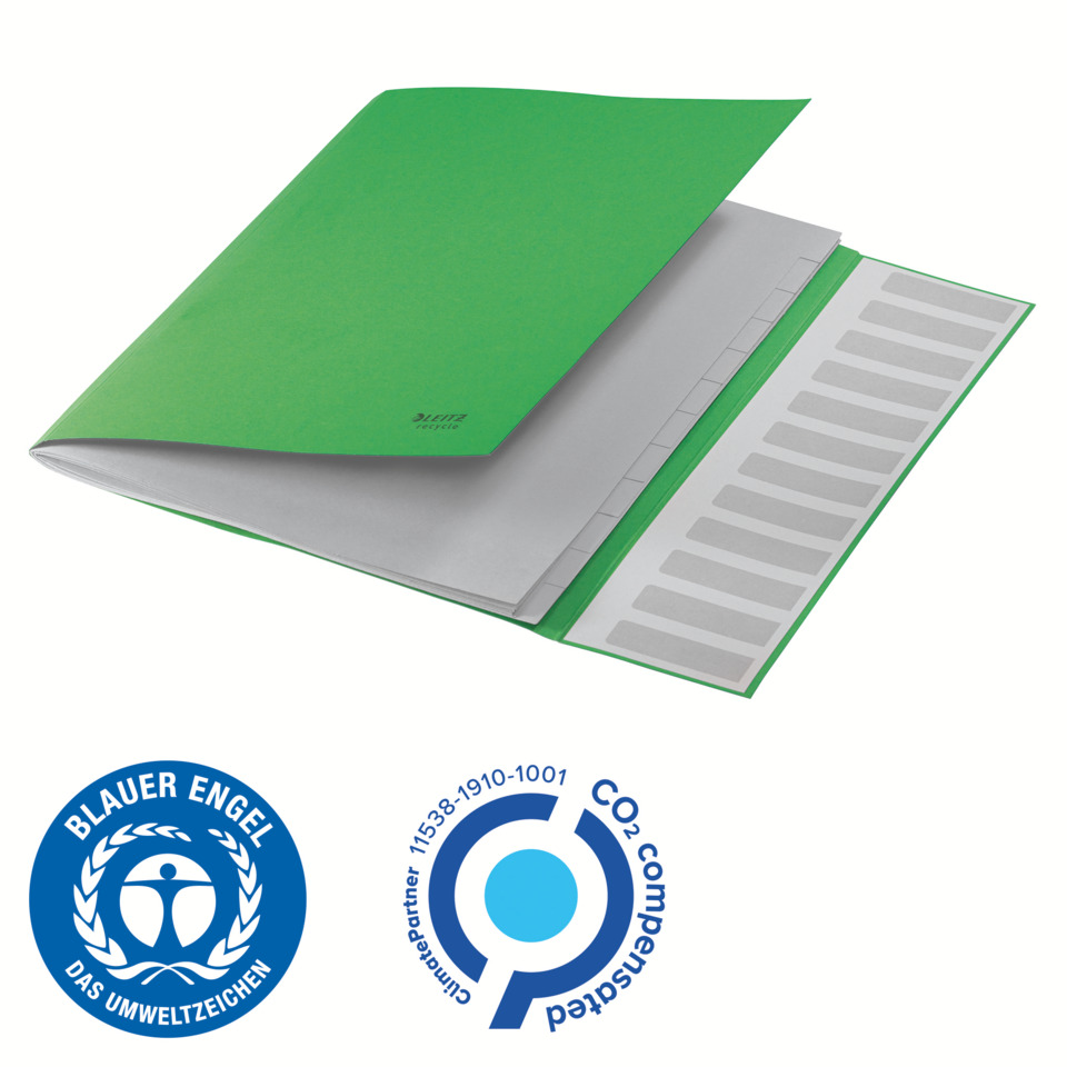 Ordner, Ordner mit Abheftstreifen, Blauer Umweltstempel, Grüne Farbe, Papierordner, A4-Aktenordner, grüner Ordner, Papierblätter, Ringordner, Öko-Logos