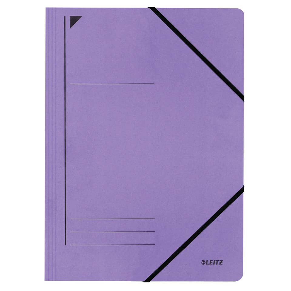 Notizbuch, lila, diagonale- streifen, ausgefüllte-seiten, Leitz