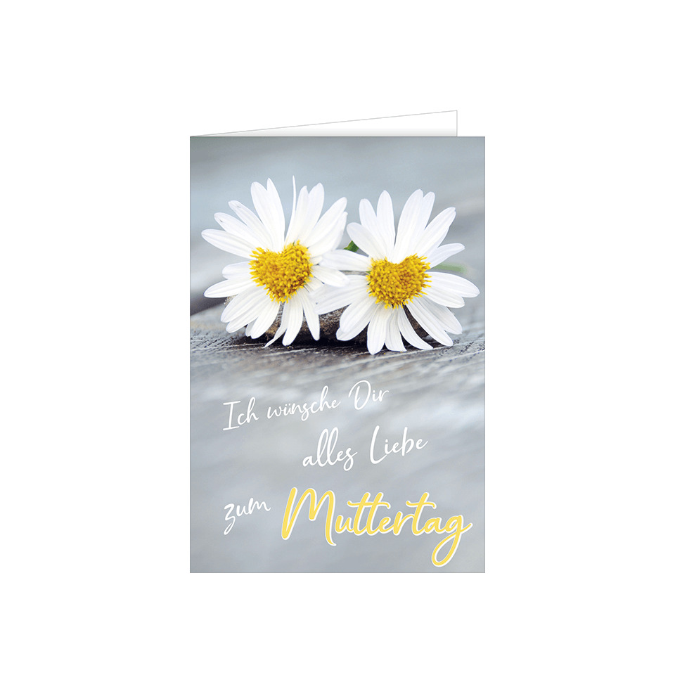Gänseblümchen, Weiße Blüten, Gelbe Mitte, Karte, Blumenbild