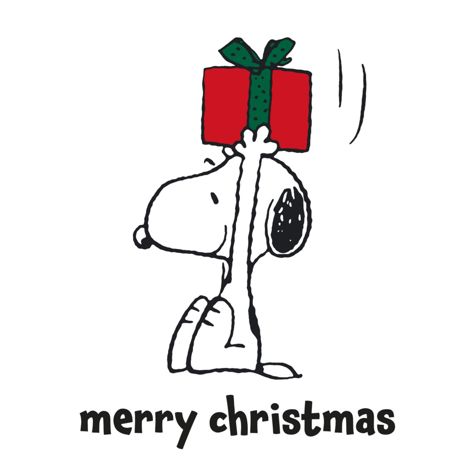 weihnachtskarte, merry christmas, hund, geschenk, gift