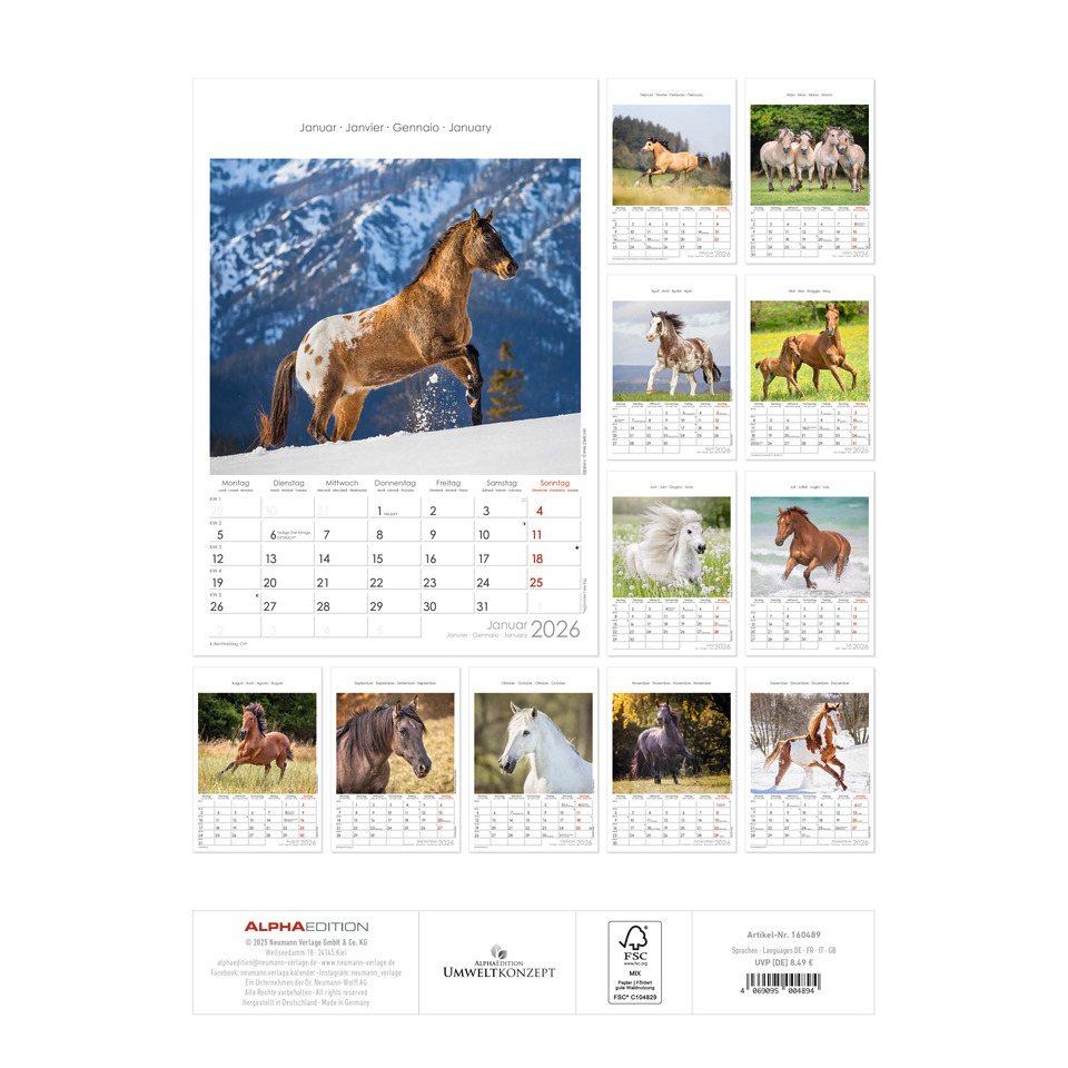 Seite, Text, Pferd, Säugetier, Hund