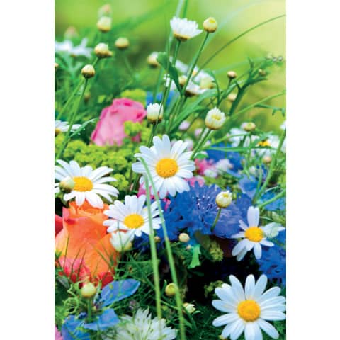 Allgemeine Karte ohne Text  49-1366