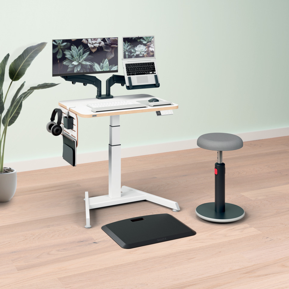 Schreibtisch, Mobiliar, Tabelle, Pflanze