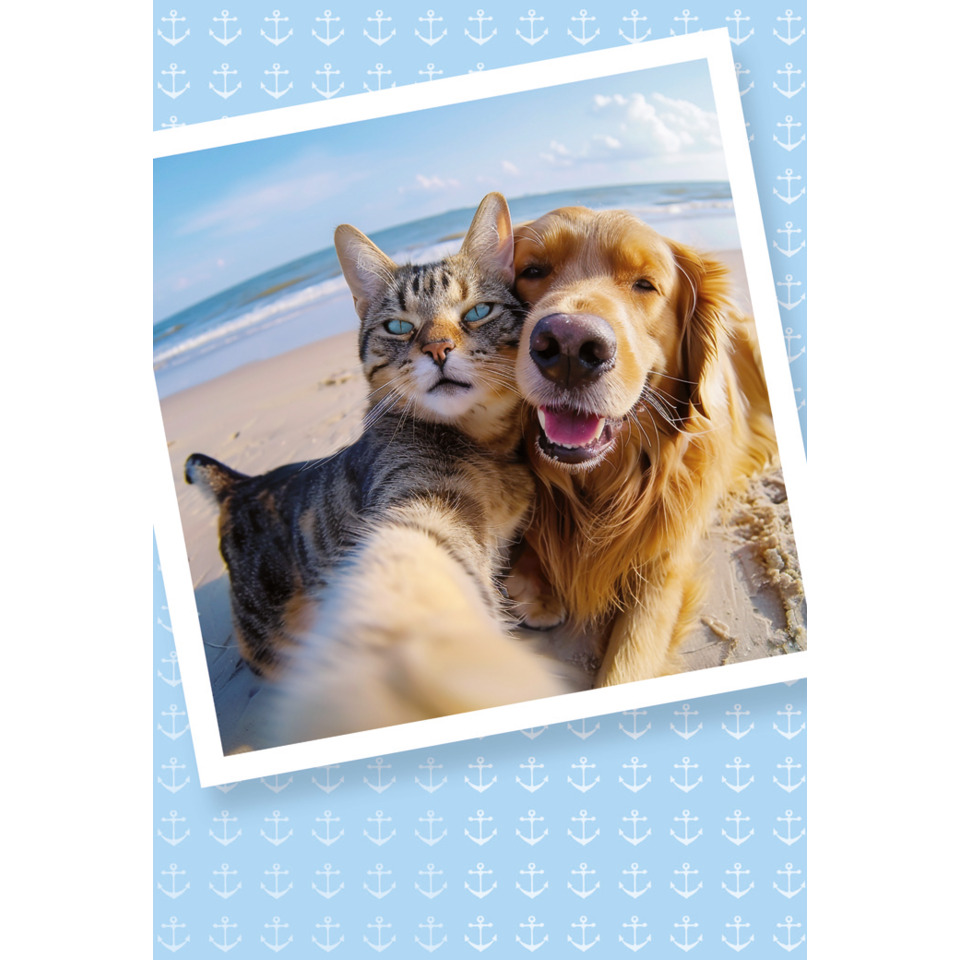 Photographie, Portrait, Hund, Katze, Strand