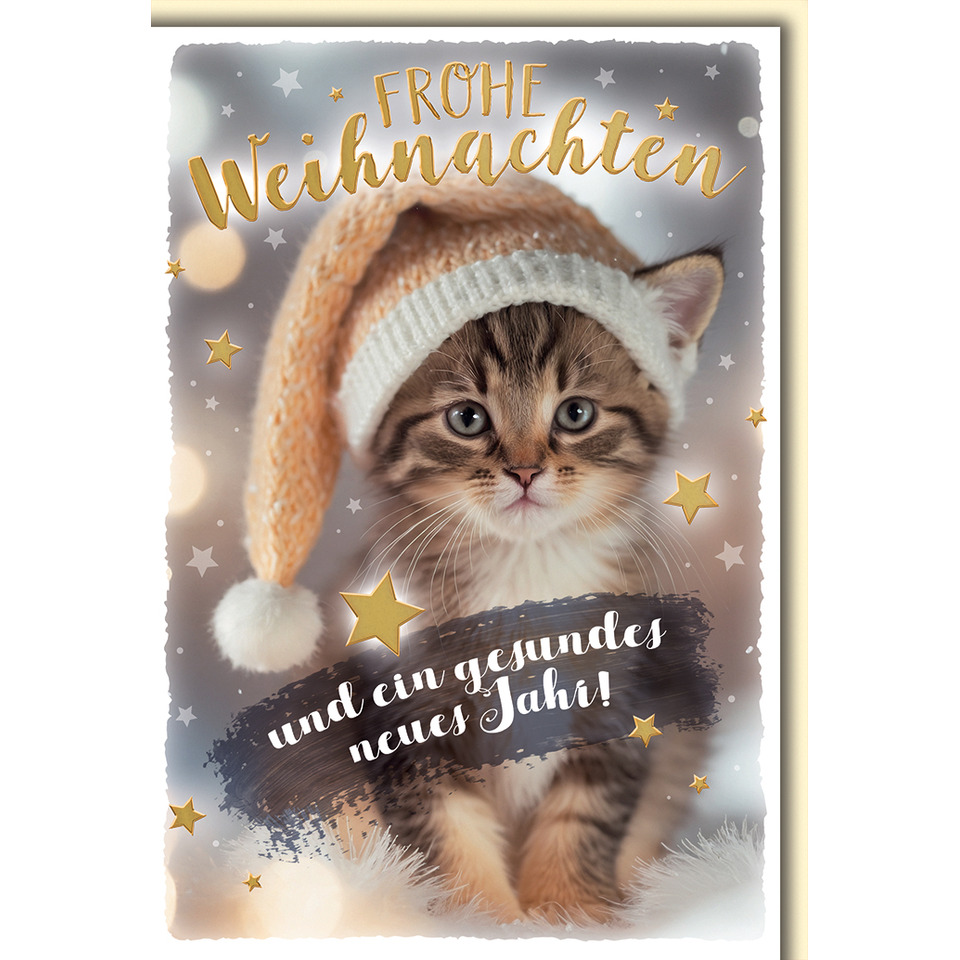 Katze, Kätzchen, Haustier, Werbung, Plakat, Katze, Kätzchen, Haustier, Werbung, Plakat