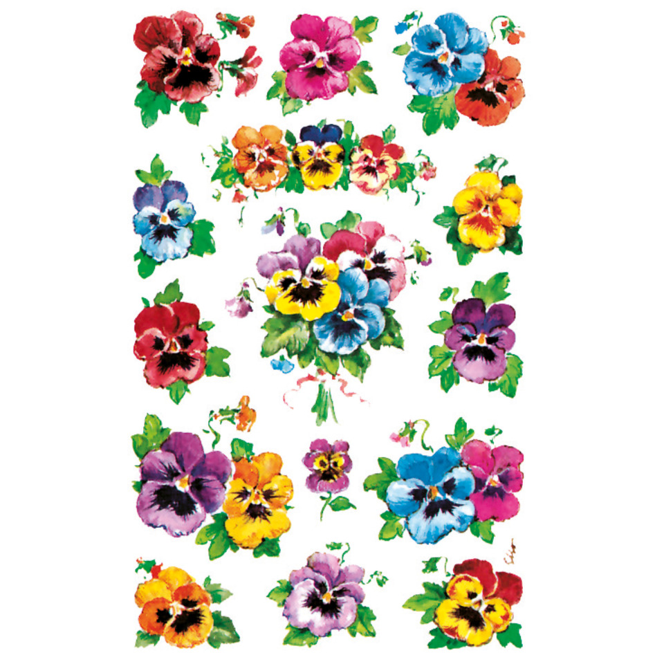  Blume,  Muster,  bunt,  Stiefmütterchen,  Blütenpracht