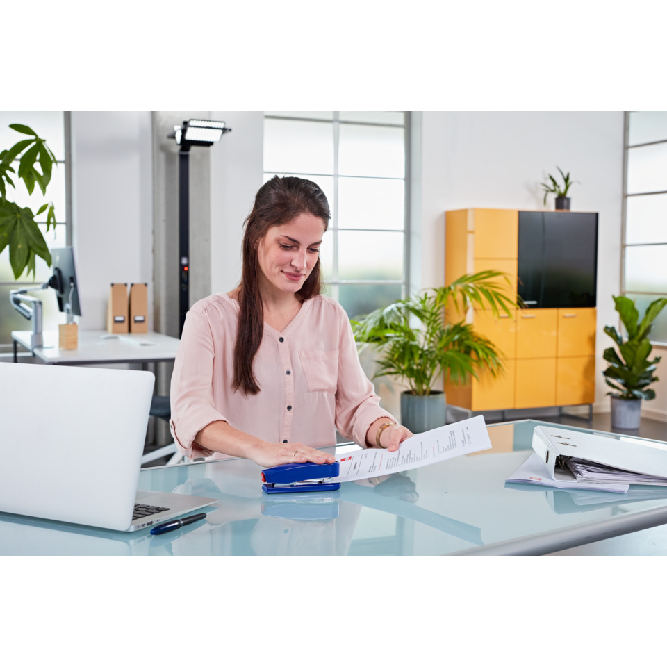 Büro, Frau, Dokument, Laptop, Schreibtisch