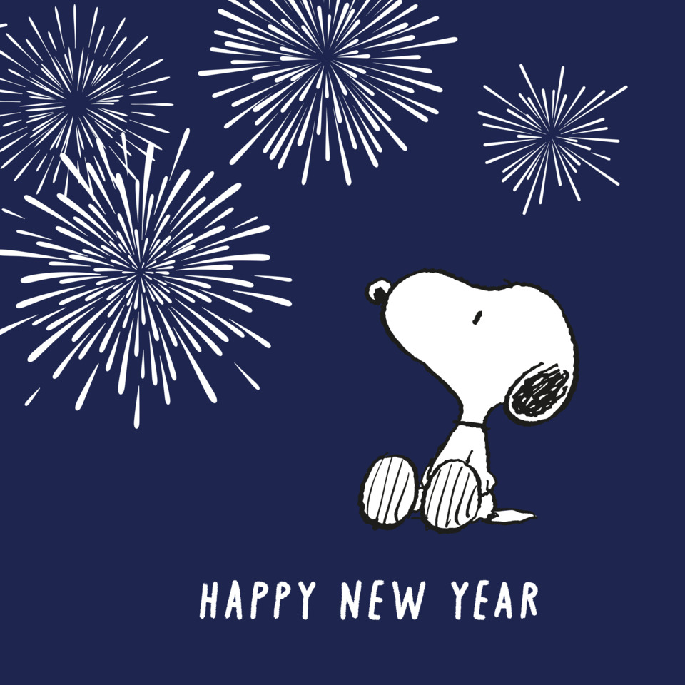 Snoopy, Feuerwerk, Neujahrskarte, Karte, Pewter