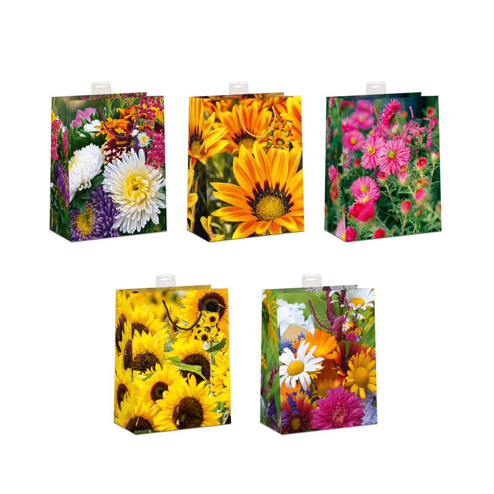 Blume, Pflanze, Gänseblümchen, Blume, Pflanze, Gänseblümchen