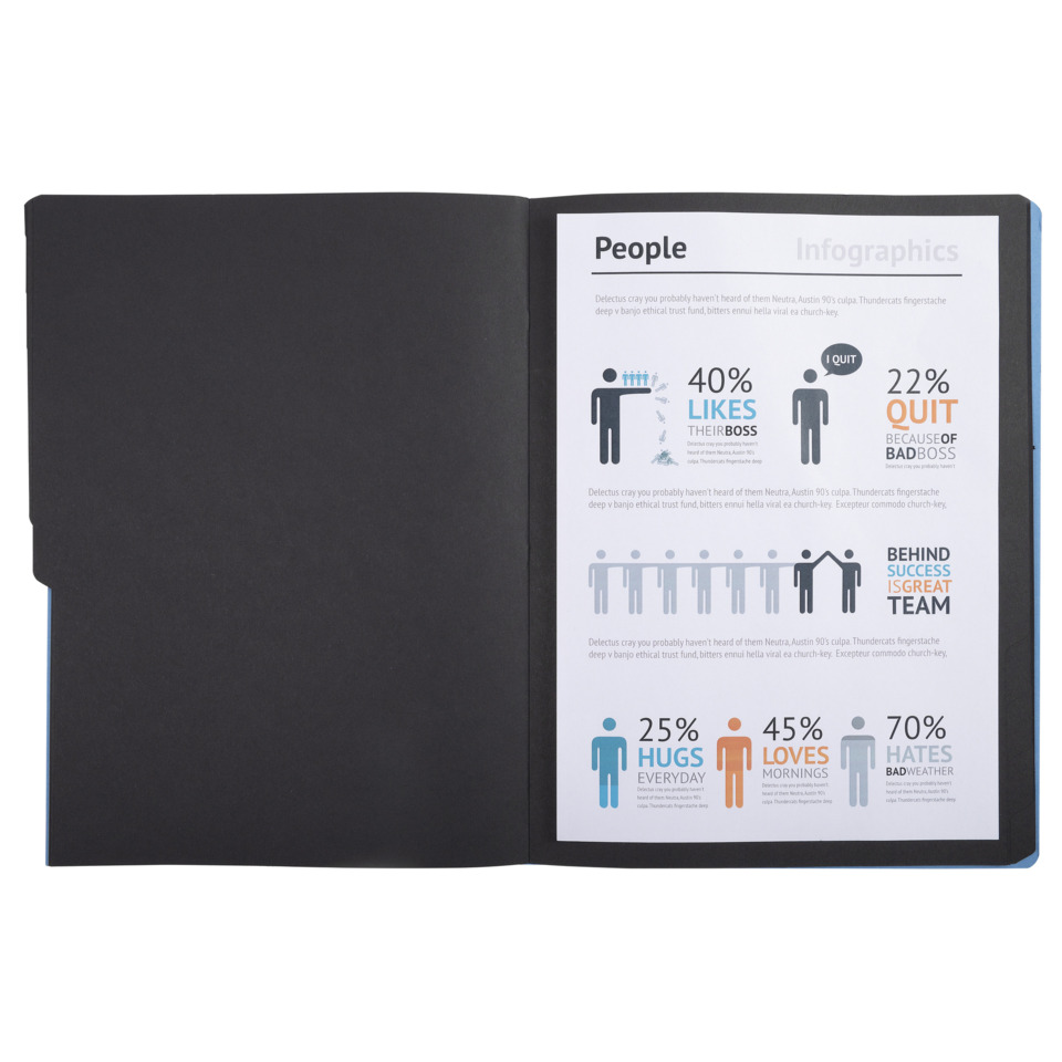 Infografik, Notizbuch, offenes Notizbuch, bedruckte Seite, Statistiken