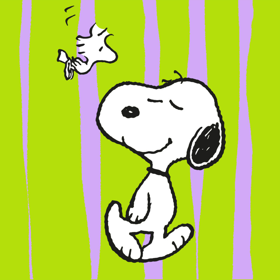 Hund, Kleiner Hund, Comic-Charakter, Papierzeichnung, Hund mit Knochen