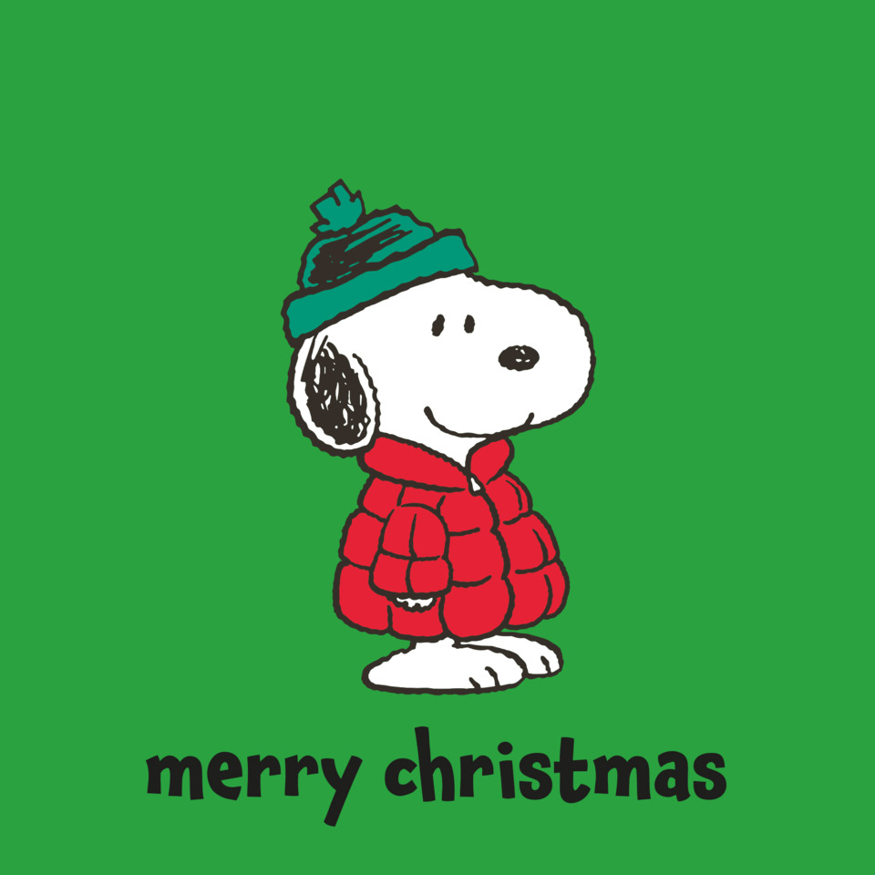 Snoopy, Hund, Winterjacke, Grüne Karte, Merry Christmas