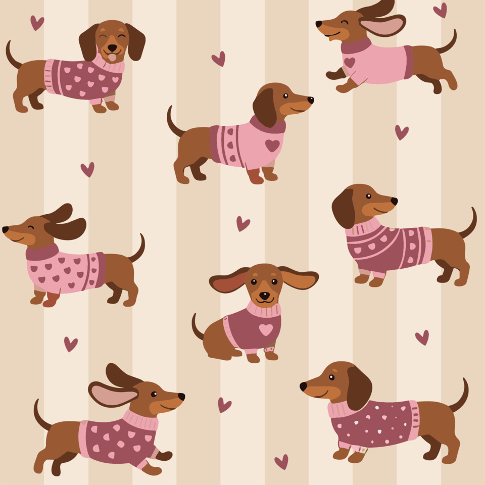 Dackel, Hund, Pullover, Heart-Pattern?, Robe?