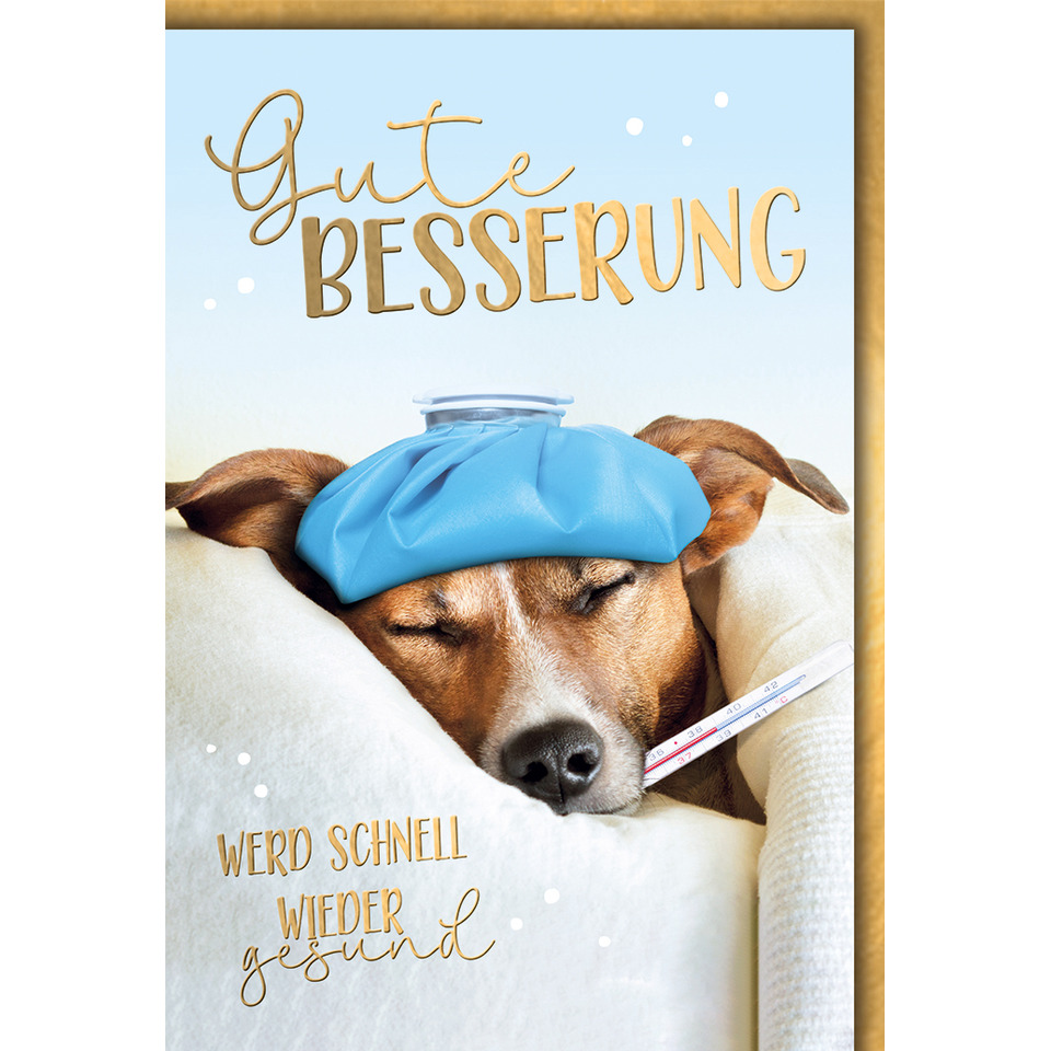 Hund, Kälte, Kühlung, Thermometer, Bettdecke