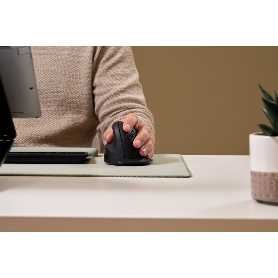Computer mouse, Wireless mouse, Ergonomic mouse, Desktop setup, Mouse pad