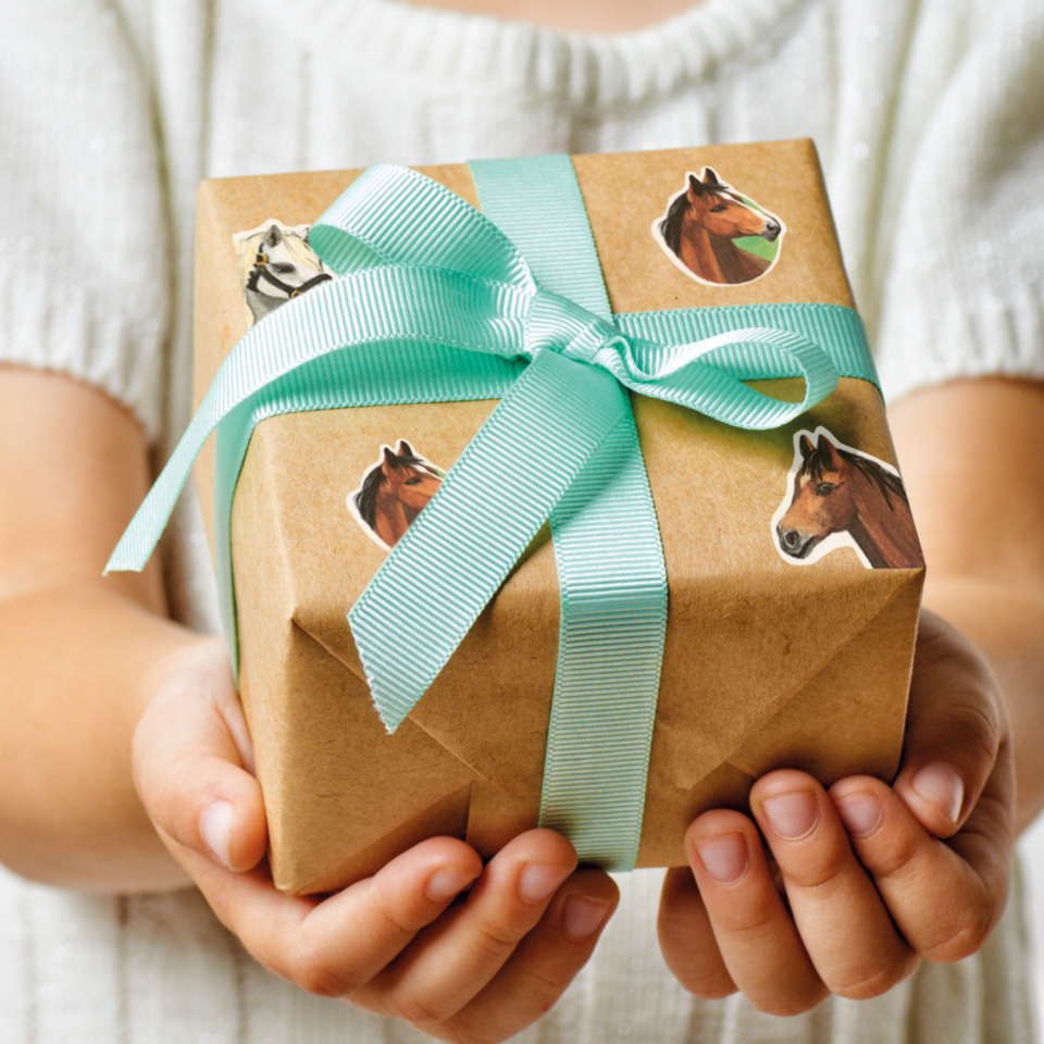 Geschenkverpackung, Paket, Schnurband, Hufeisen-Aufkleber, Paketband