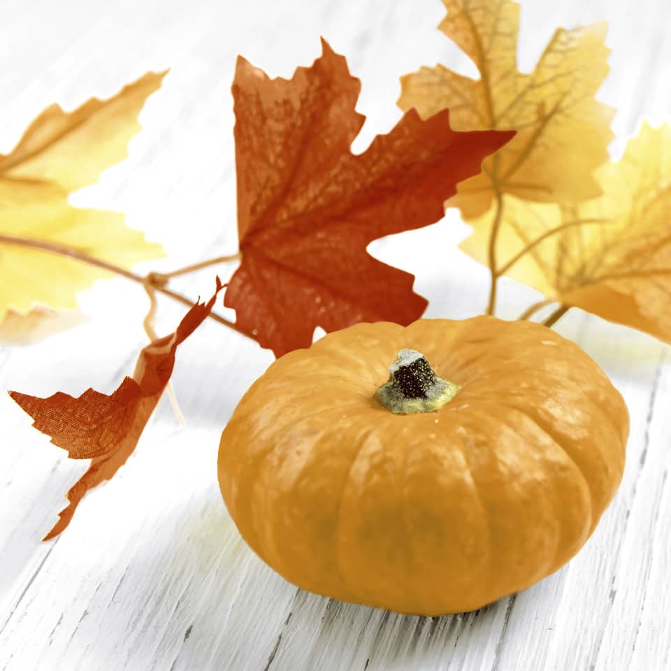 kleiner_kürbis, orange, herbstdeko, kürbis, pumpkin