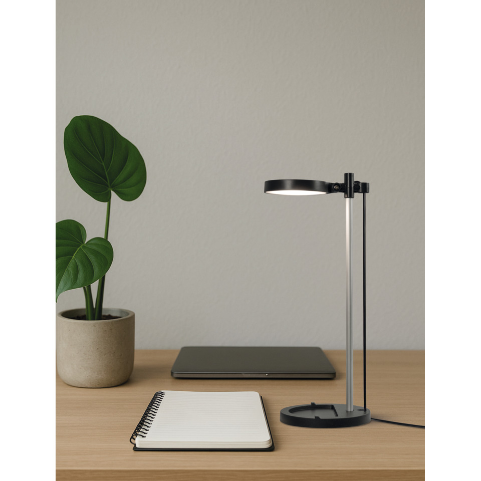 tischlampe, schreibtisch, notizbuch, pflanze, laptop
