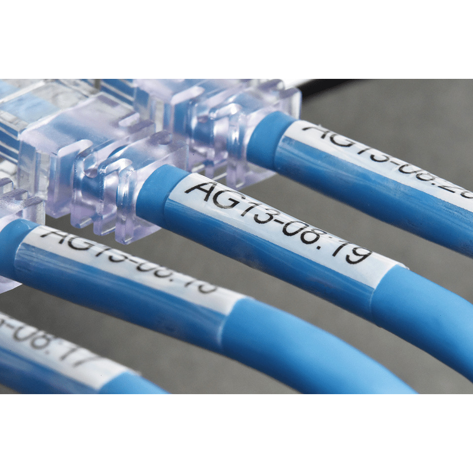 Blue cables, RJ45-Netzwerk, Ethernet-Patch, Kabel, Steckverbinder
