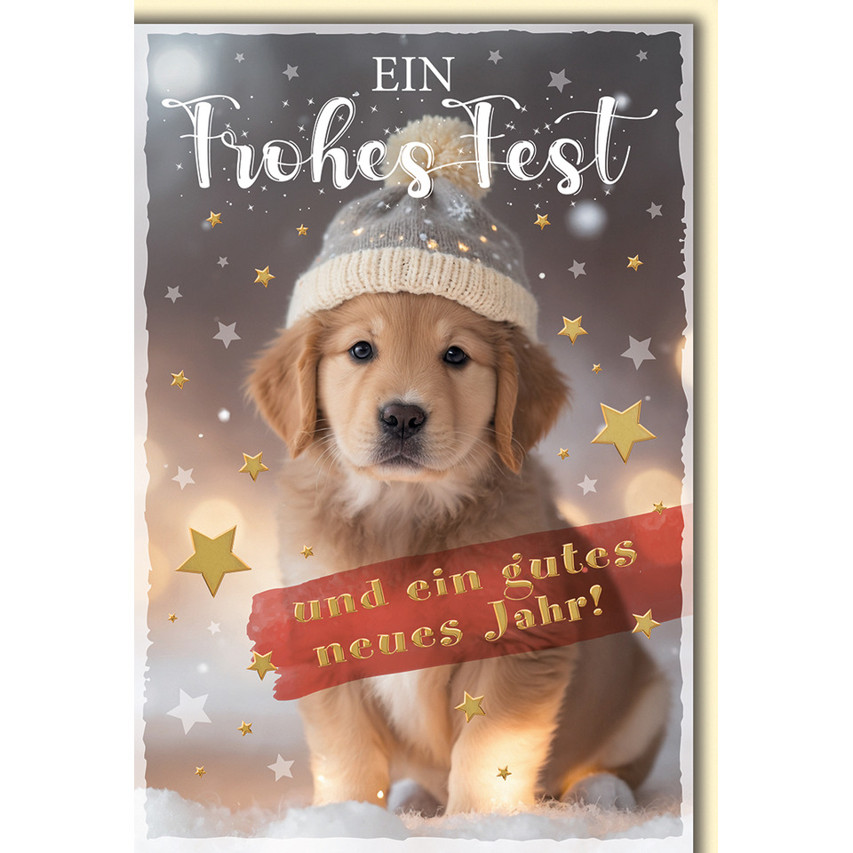 Hund, Golden Retriever, Haustier, Welpe, Hund, Haustier, Golden Retriever, Welpe