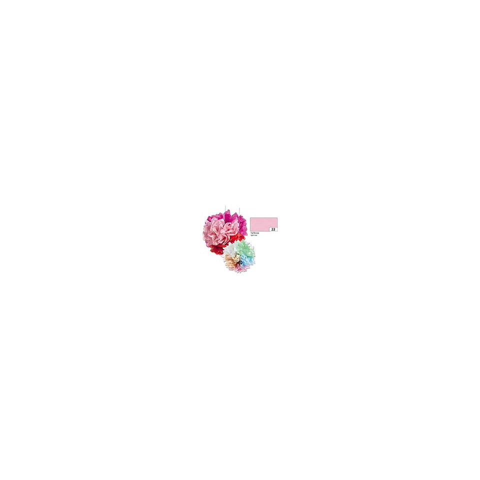 Blume, Pflanze, Nelke, Zubehor, Blume, Pflanze