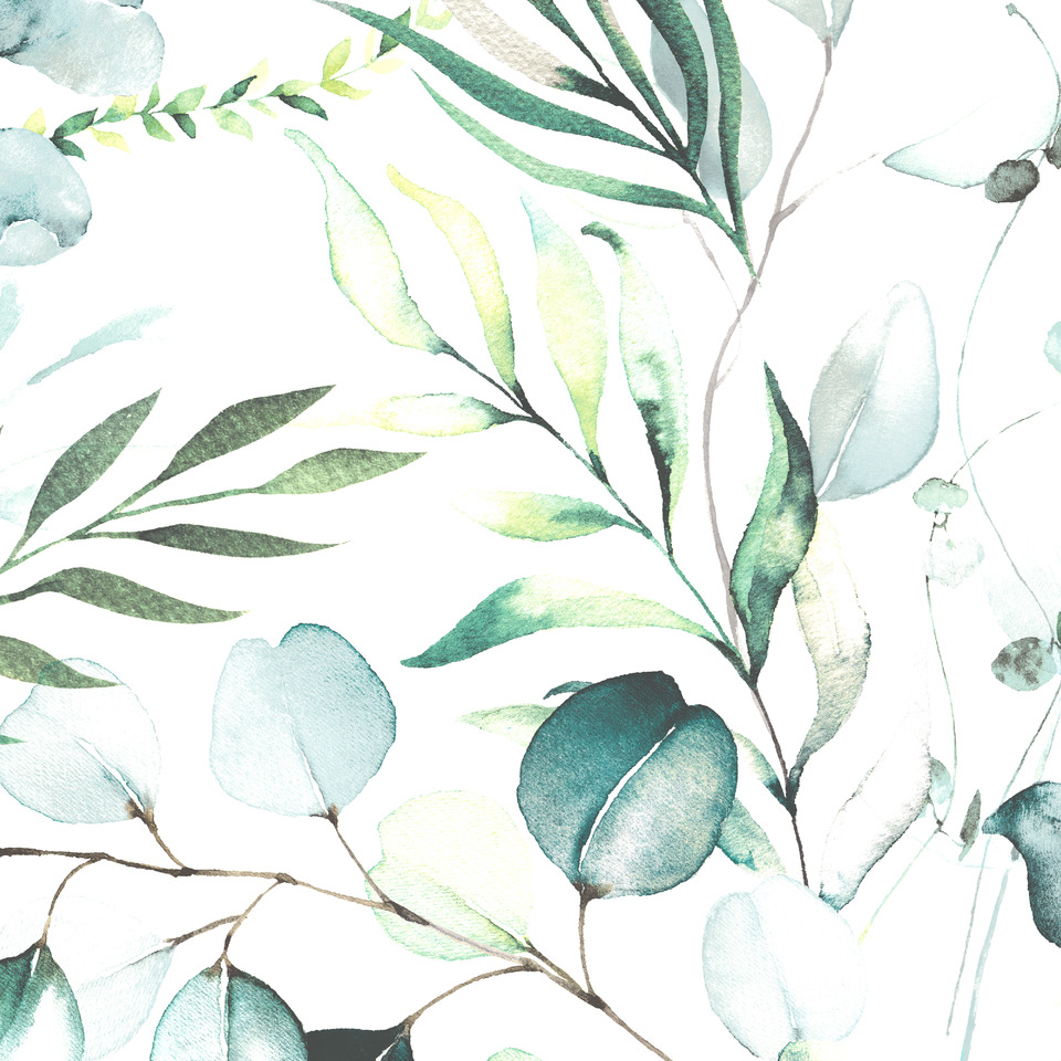 eucalyptus, blätter, Aquarell, Muster, Textur