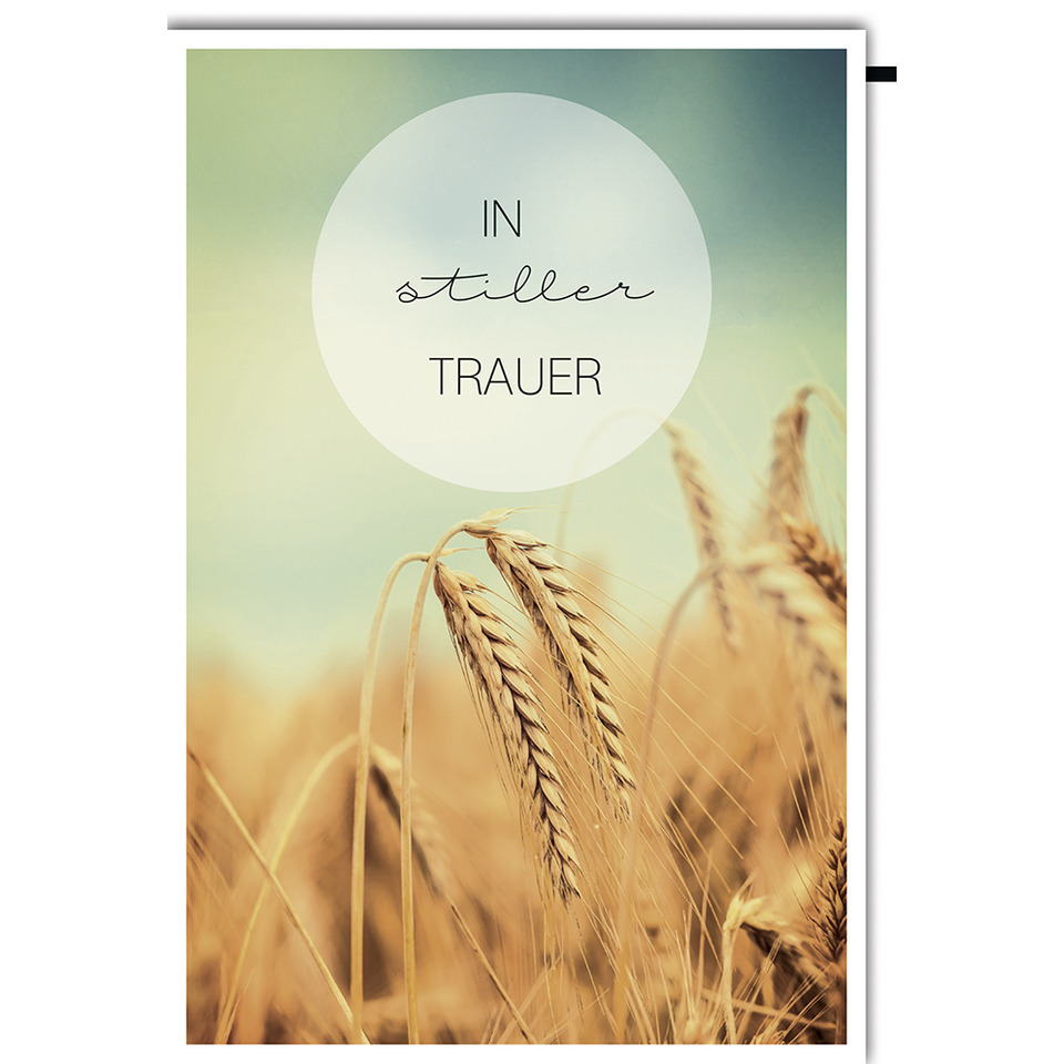 Weizen, Getreide, Feld, golden, Stängel