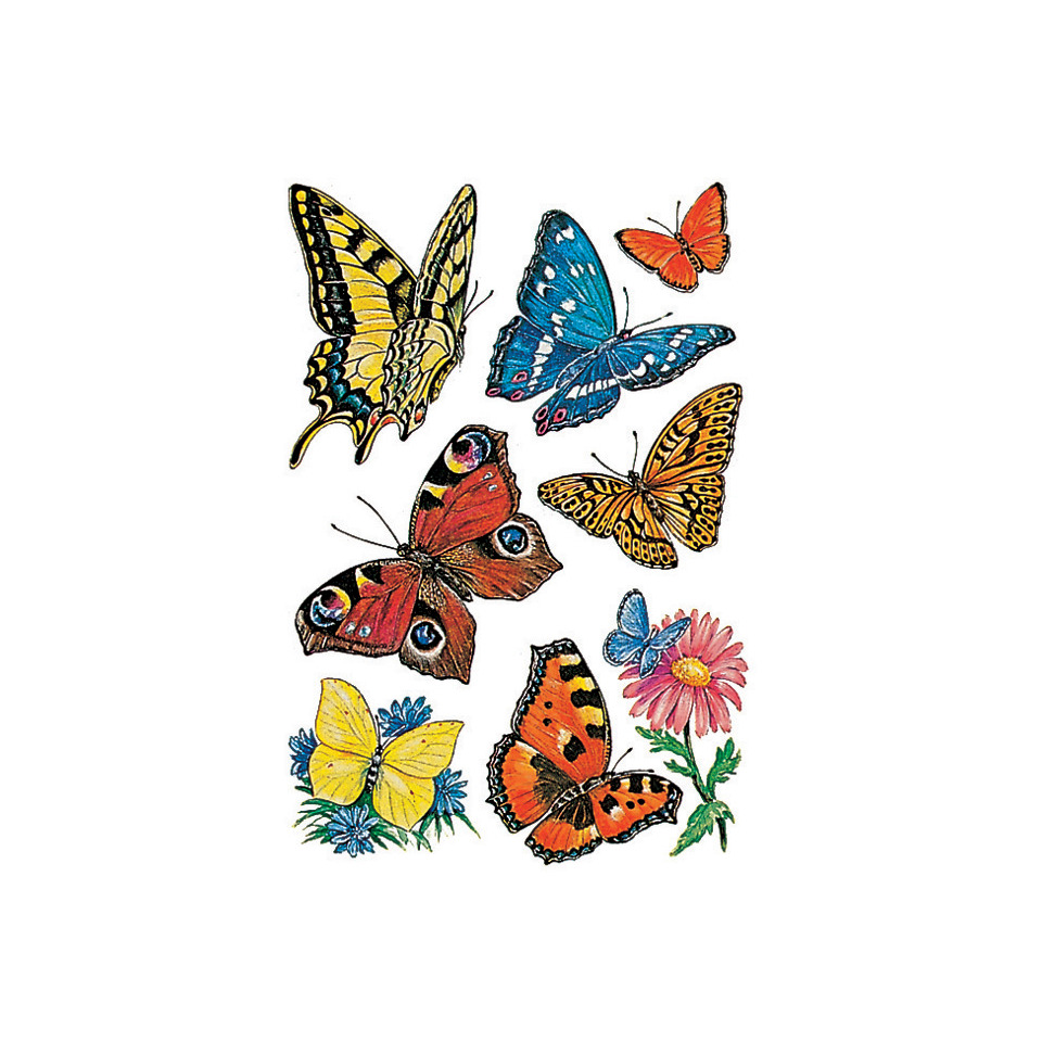 Schmetterlinge, Schmetterlingsbild, Blumen, Farbenfroh, Insekten