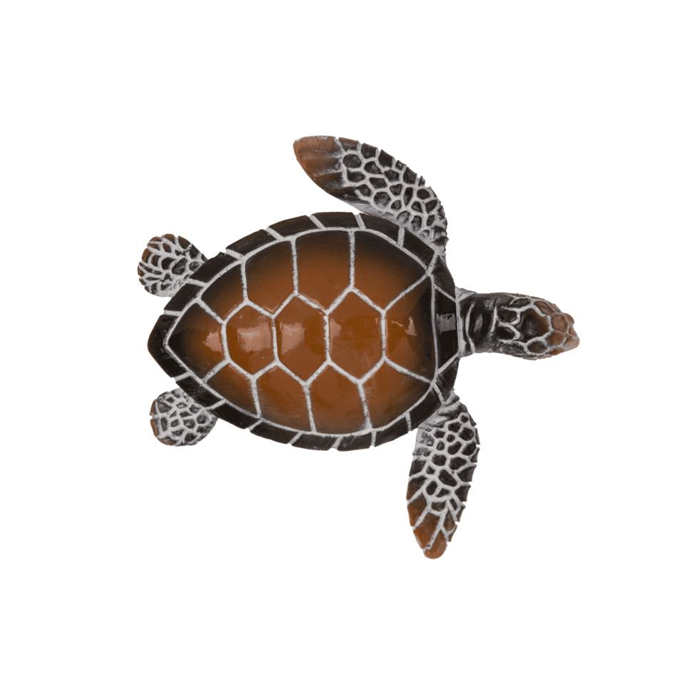 schildkröte, meeresschildkröte, brauner panzer, sechseckiges muster, haustier Spielzeug