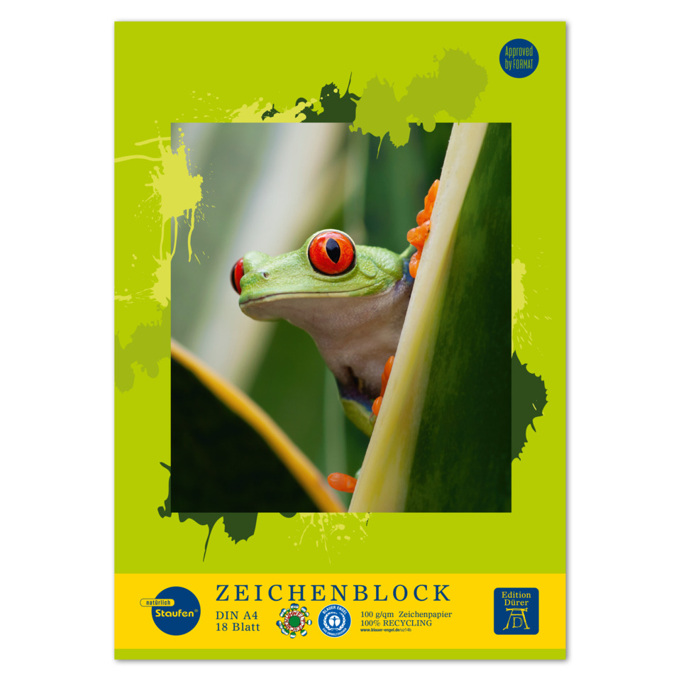 Baumfrosch, rote Augen-Frosch, grüne Froschart, Laublebensraum, bunter Amphibien