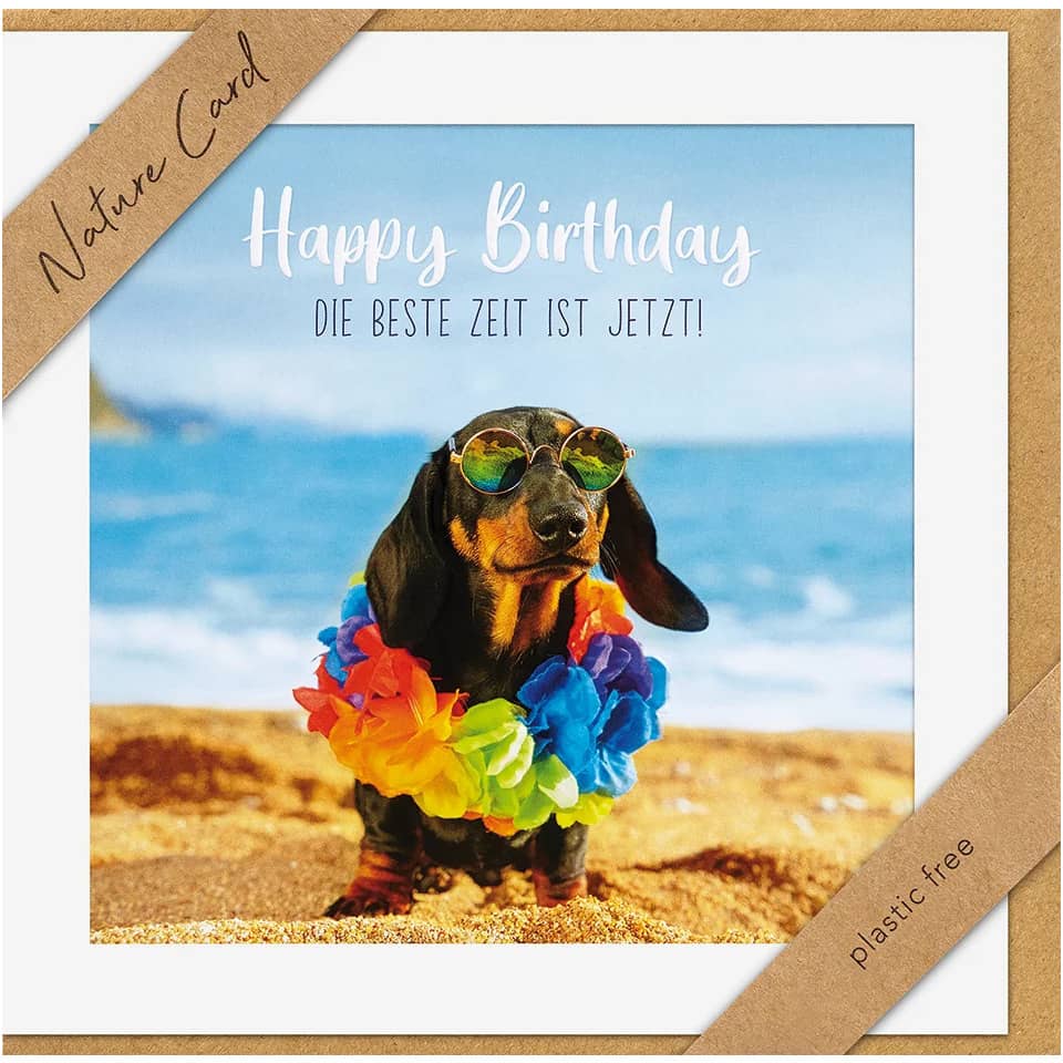 Blume, Blumen-Arrangement, Grußkarte, Strand, Zubehör